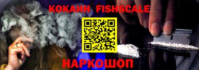 гашик Донской